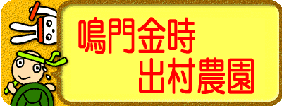 ������T�c�}�C��